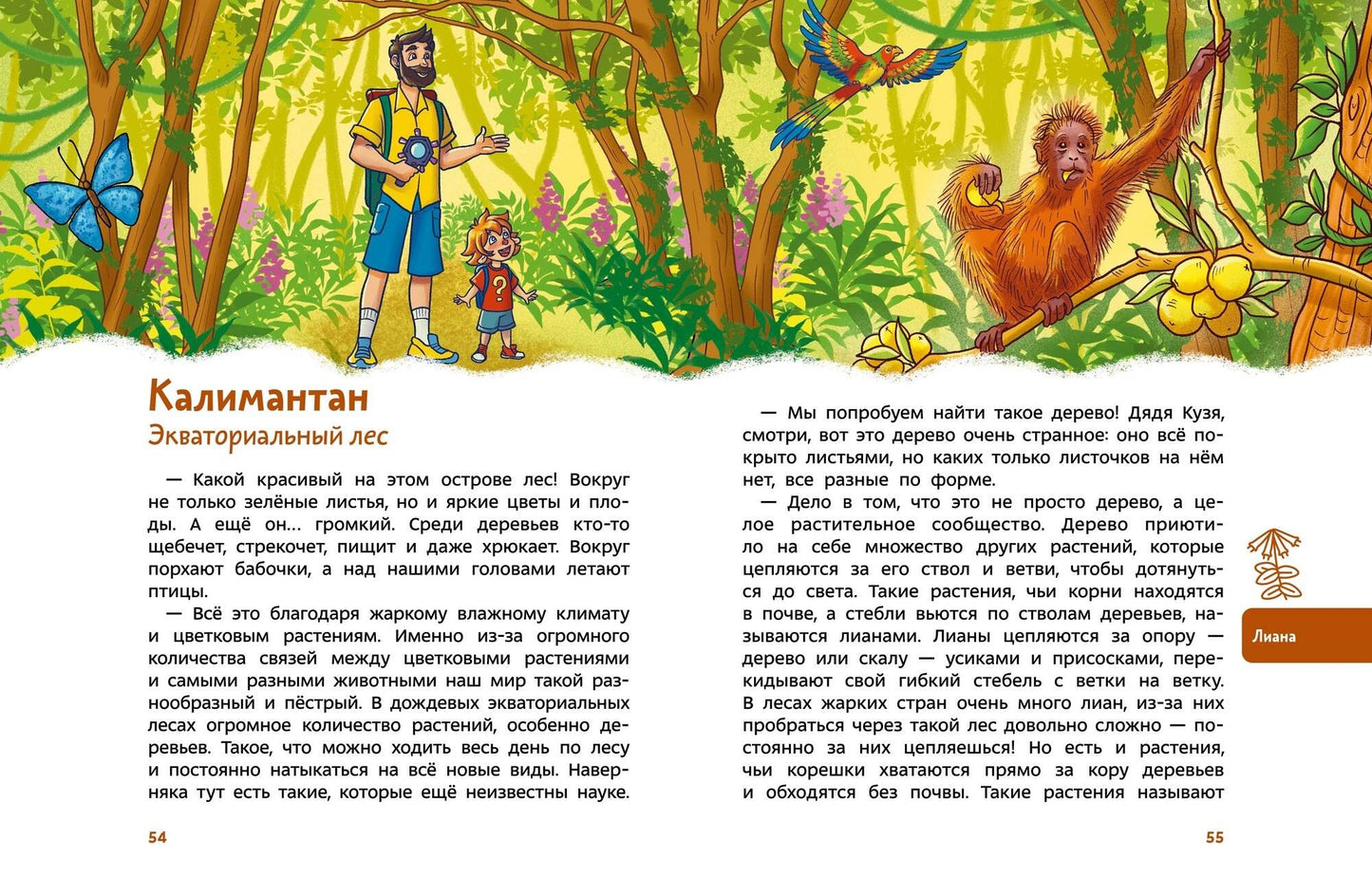 Растения и грибы. Детская энциклопедия (Чевостик)