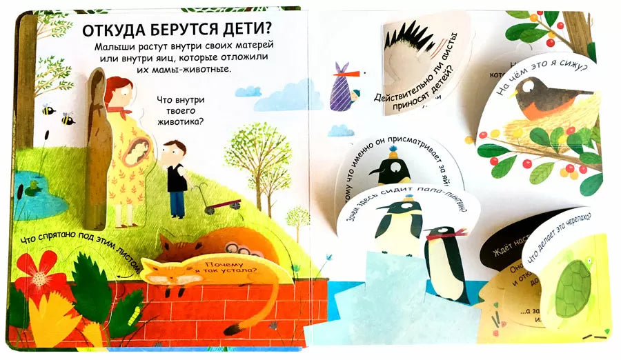 40 окошек. Откуда берутся дети. Робинс