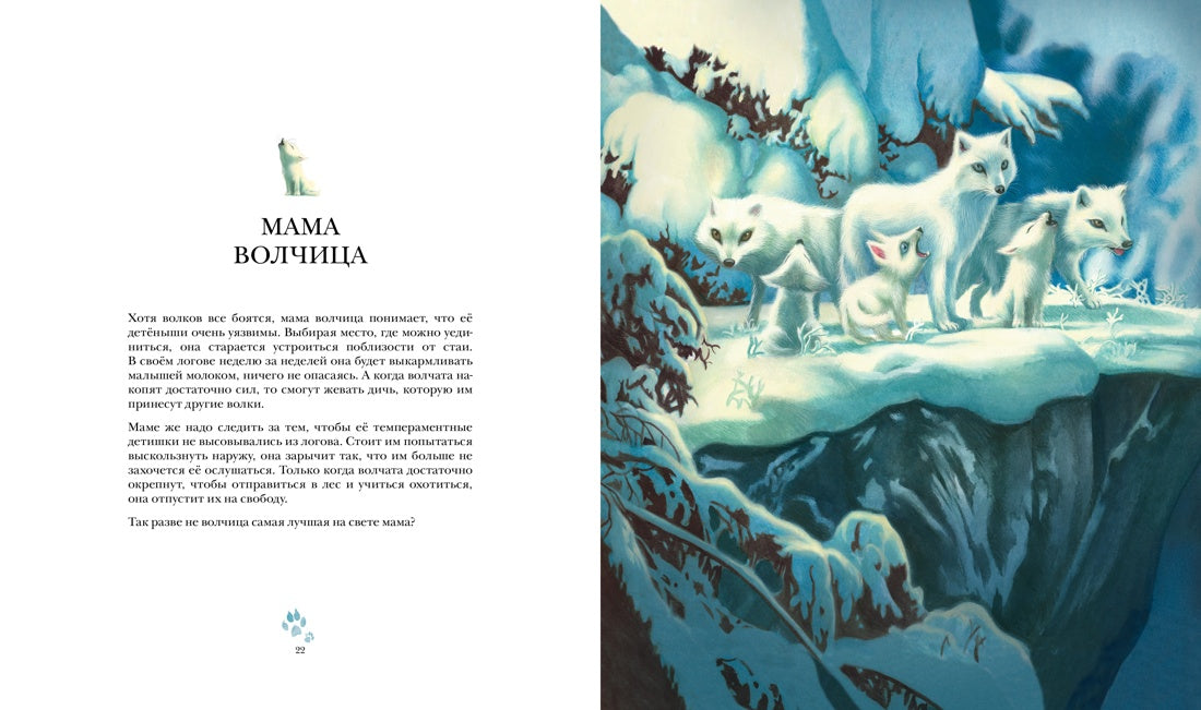 Лучшая мама на свете. Себастьян Перез