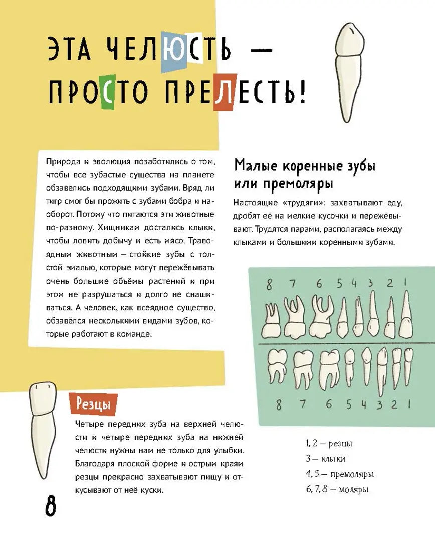 Зубастая энциклопедия, Дарья Сафонова