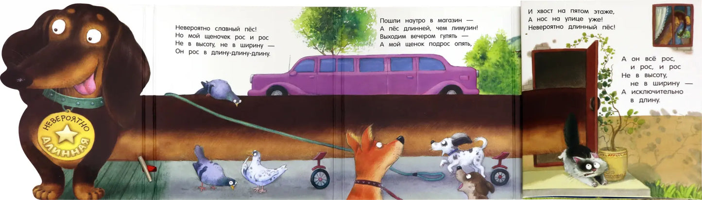 Невероятно длинная история про таксу, Анастасия Орлова