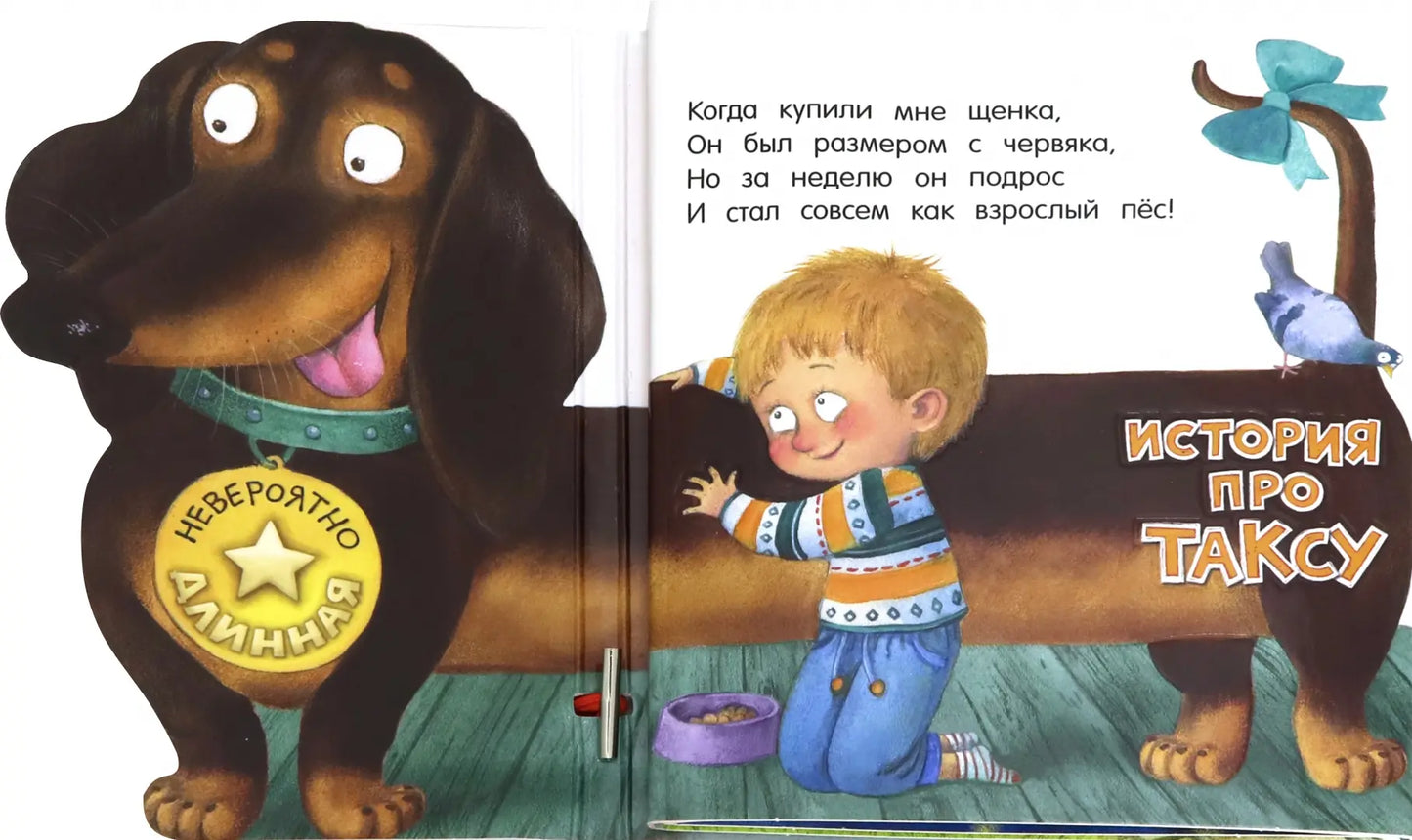 Невероятно длинная история про таксу, Анастасия Орлова
