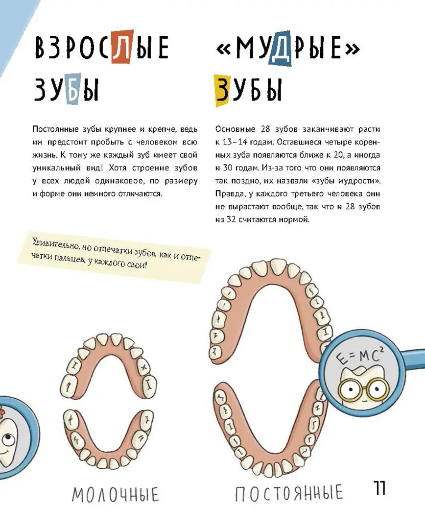 Зубастая энциклопедия, Дарья Сафонова