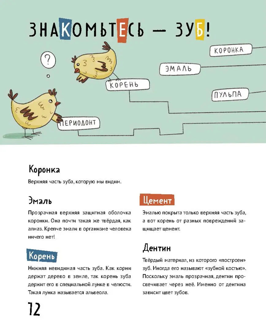 Зубастая энциклопедия, Дарья Сафонова