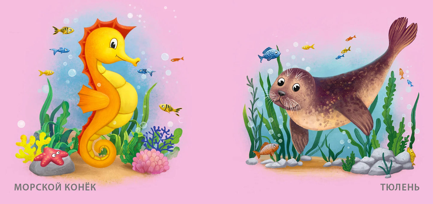 Книжка для купания "Кто живет в воде"