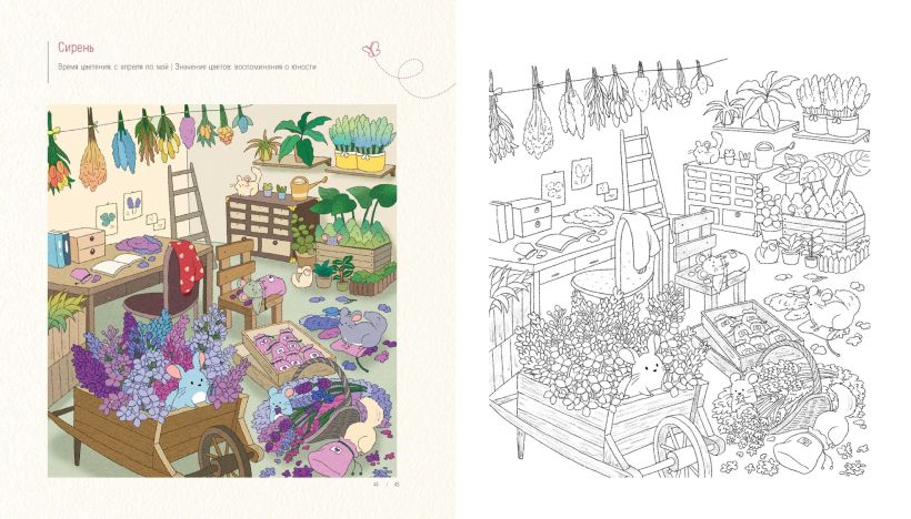 Весенним днём в Корее. Раскраски-антистресс, которые подарят тёплые чувства.