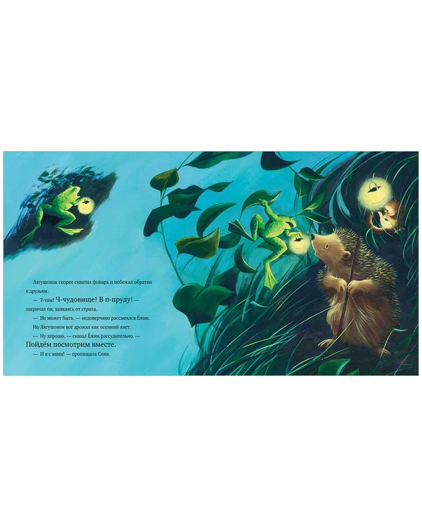 Книжки-картинки. Тёмной-тёмной ночью.