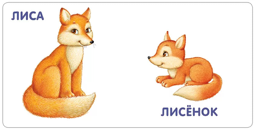 Книжки - картонки. Животные и детёныши. Робинс