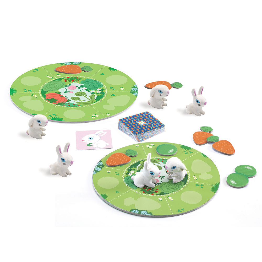 Djeco Toddler games Little collect