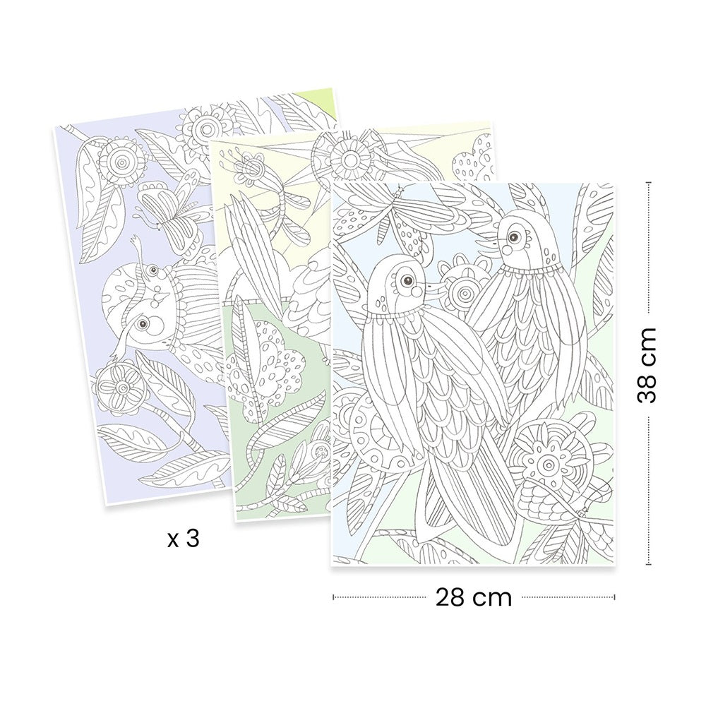 Djeco Colouring Gallery Birds