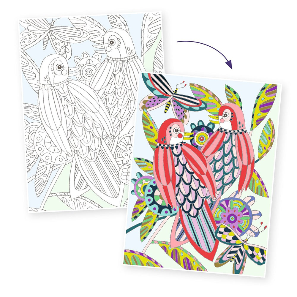 Djeco Colouring Gallery Birds