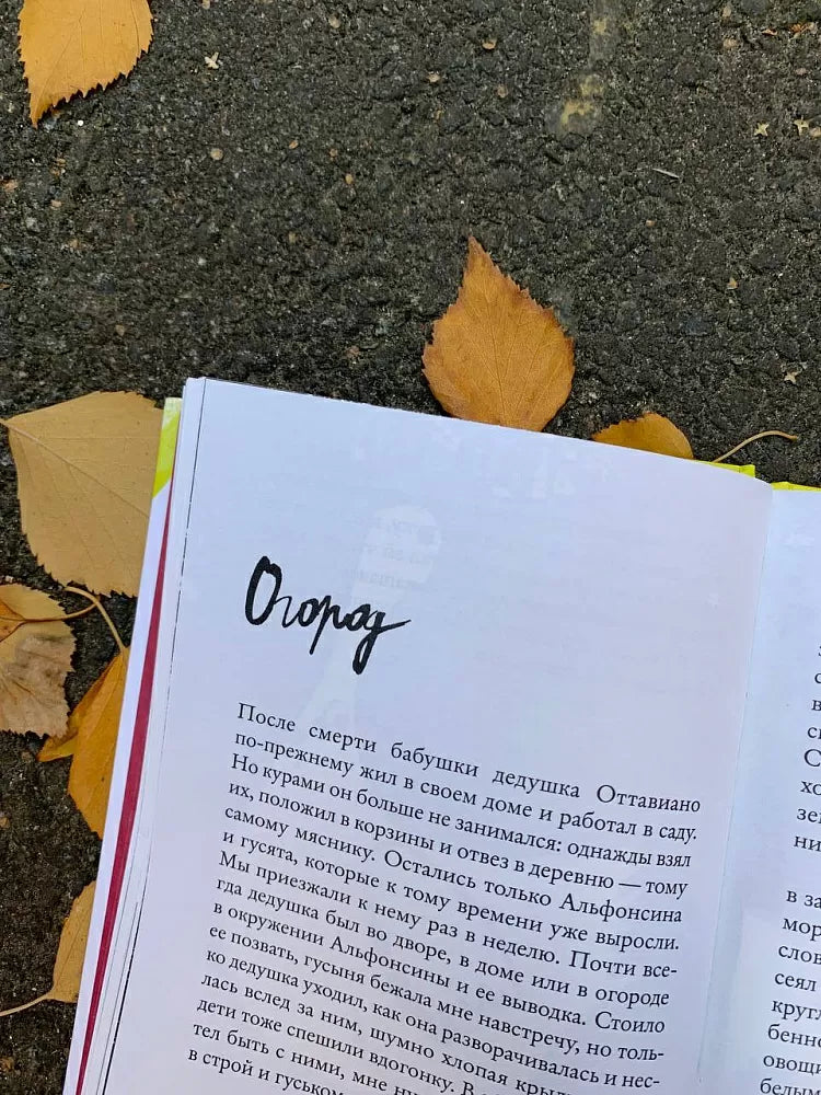 Мой дедушка был вишней (5-е издание)