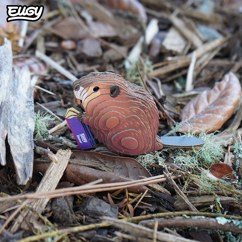 3D puzzle: Beaver, EUGY