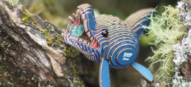 3D puzzle: Mosa, EUGY