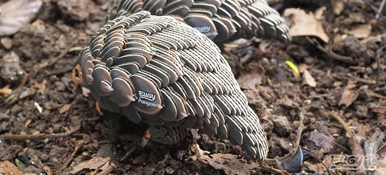 3D puzzle: Pangolin, EUGY