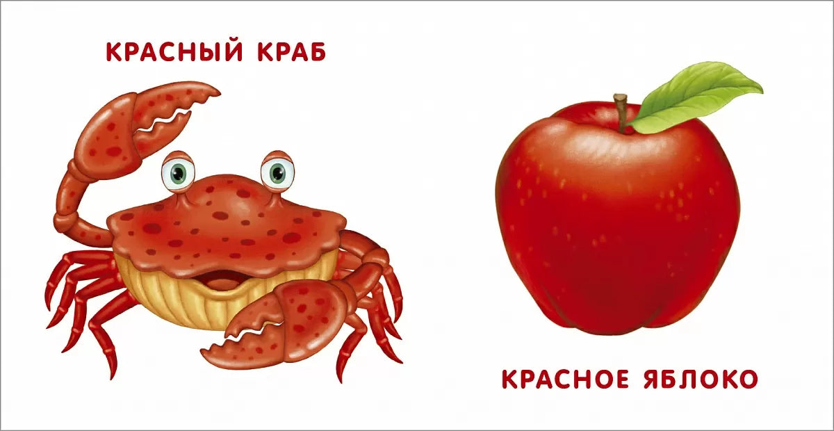 Книжки - картонки. Мои первые цвета. Робинс