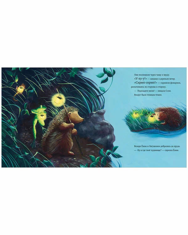 Книжки-картинки. Тёмной-тёмной ночью.
