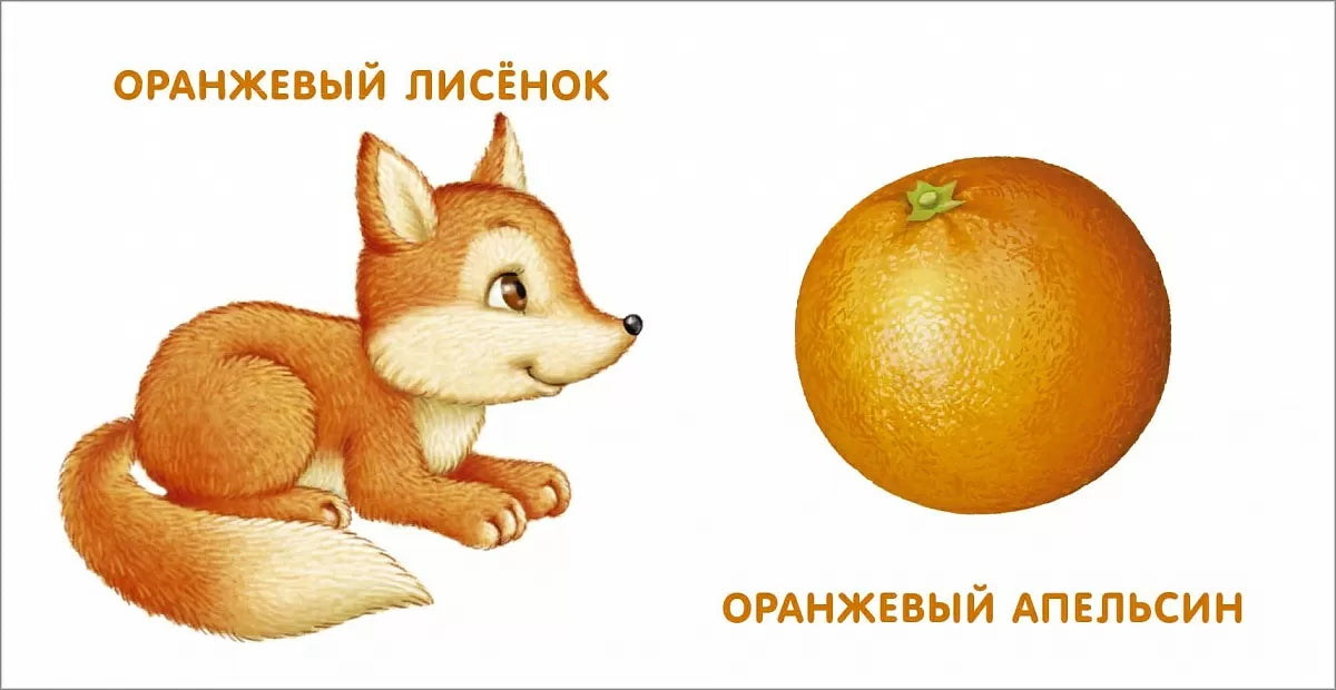 Книжки - картонки. Мои первые цвета. Робинс