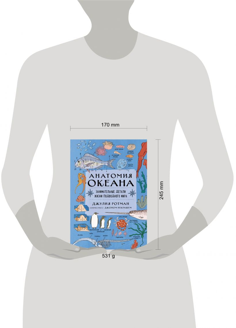 Анатомия океана. Занимательные детали жизни подводного мира.