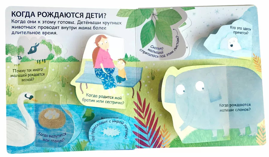 40 окошек. Откуда берутся дети. Робинс