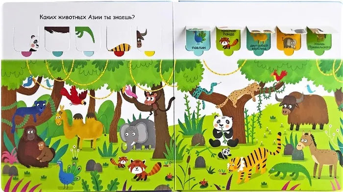 Открой тайны для самых маленьких. Дикие животные. Робинс