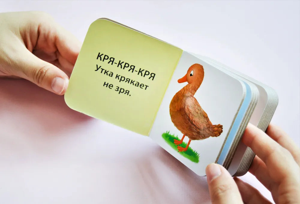 Мими - книжки. Болтушки для запуска речи. Робинс