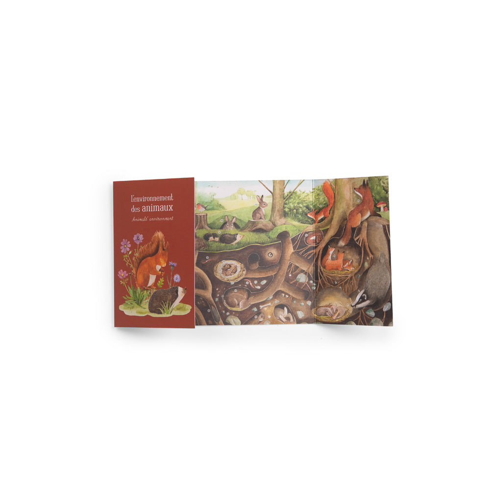 Discovery of animals box Le Jardin du Moulin EN/FR, Moulin Roty