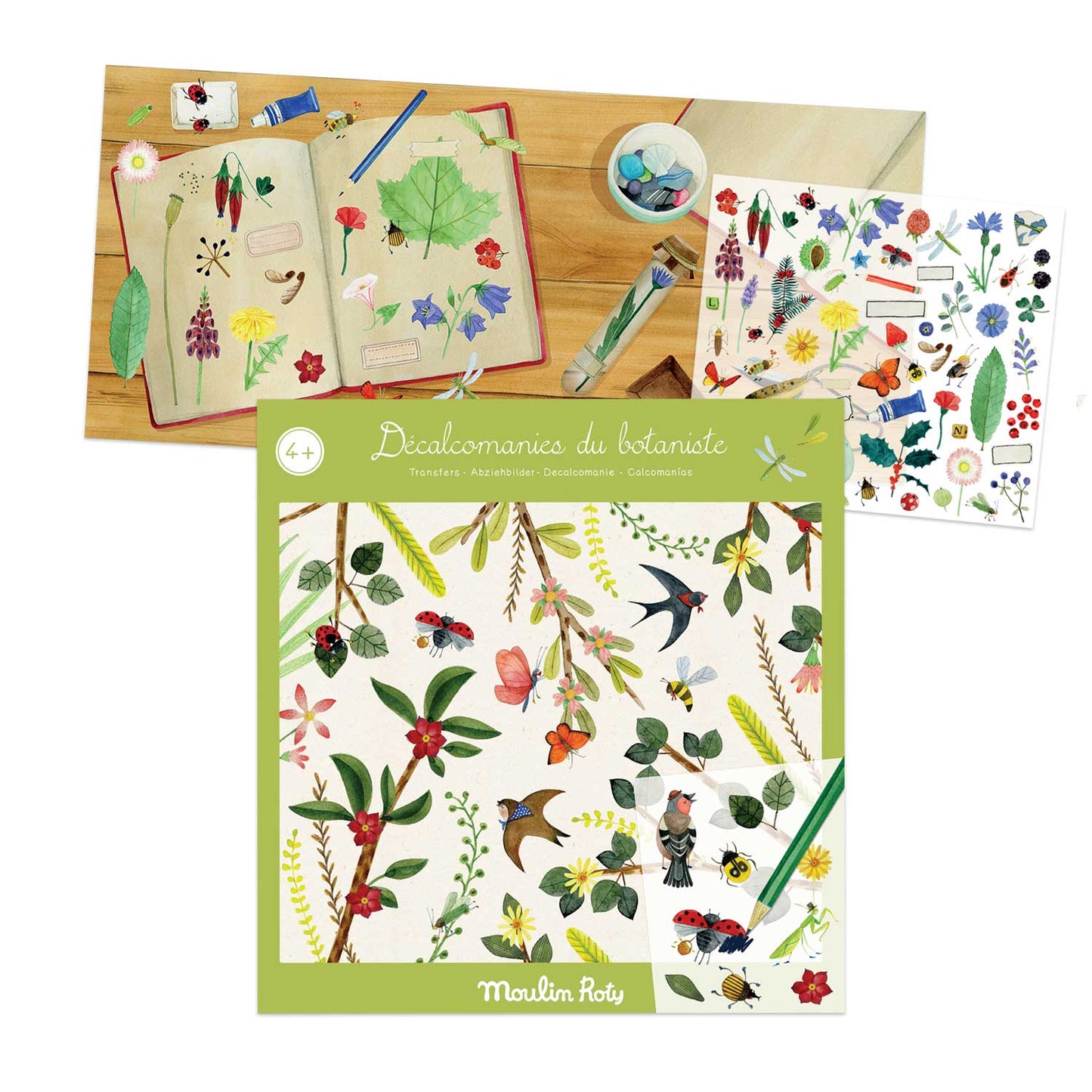 Botanist transfers, Moulin Roty