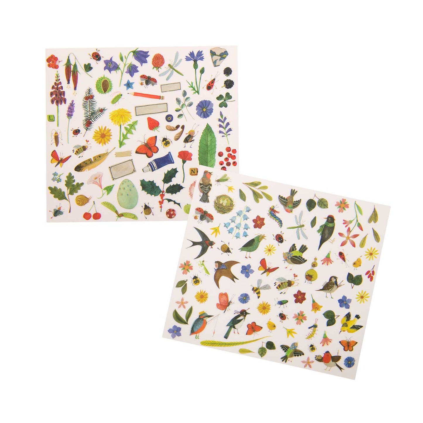 Botanist transfers, Moulin Roty