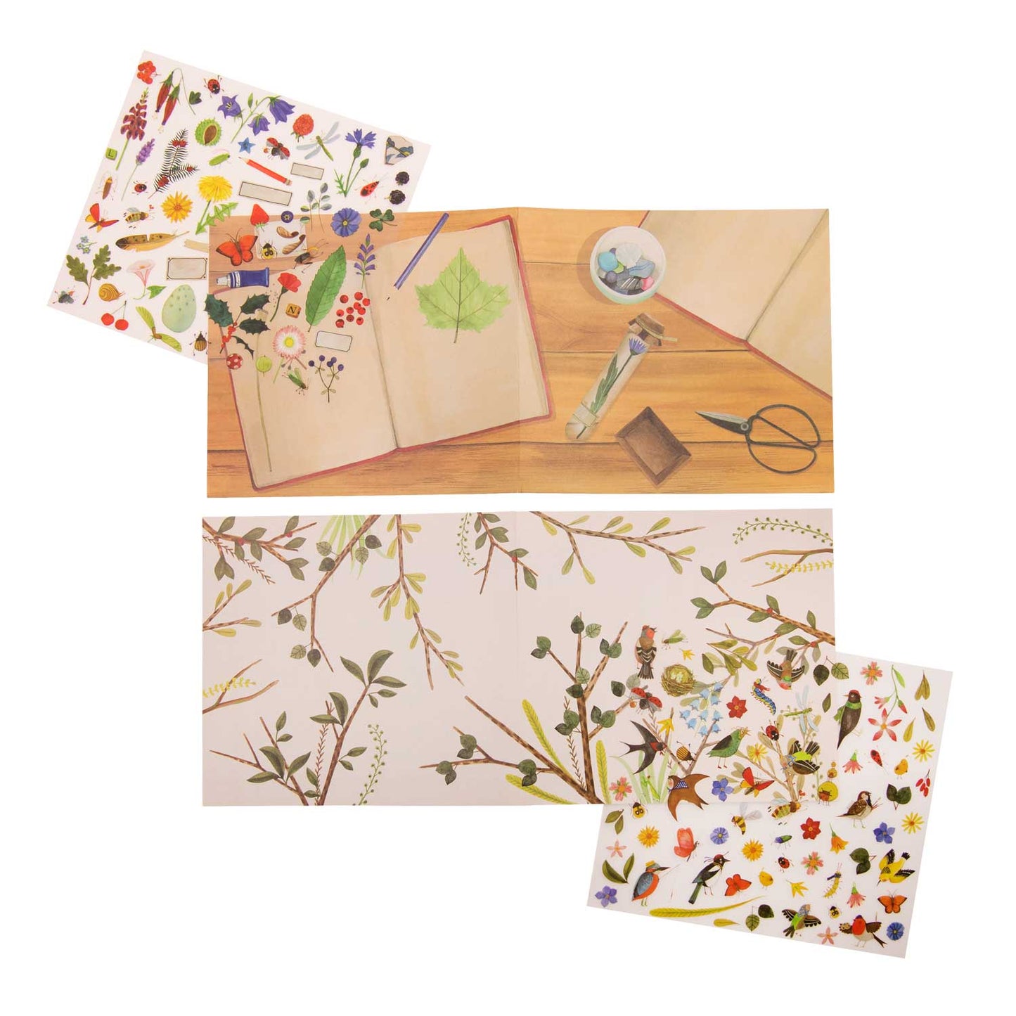 Botanist transfers, Moulin Roty