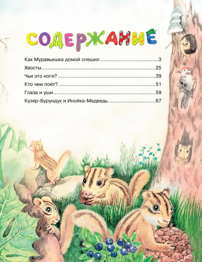 Бианки В. В. Как муравьишка домой спешил