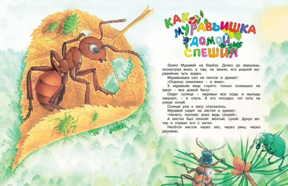 Бианки В. В. Как муравьишка домой спешил