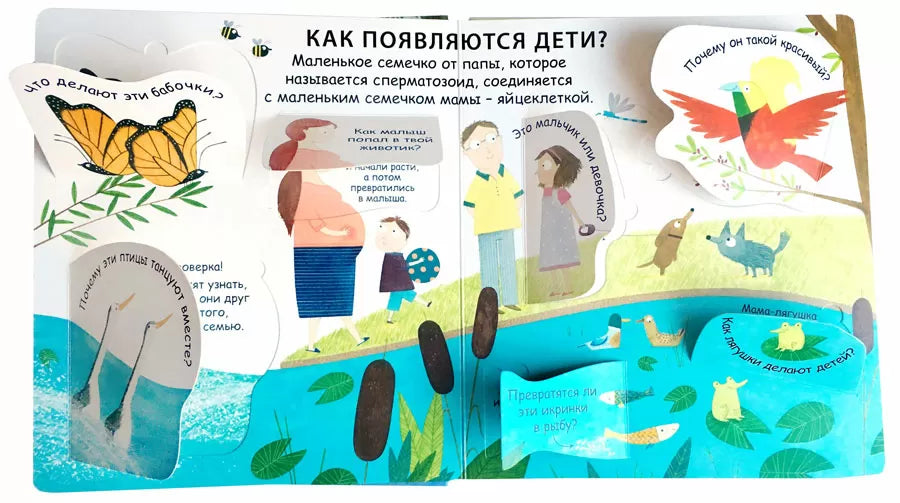 40 окошек. Откуда берутся дети. Робинс