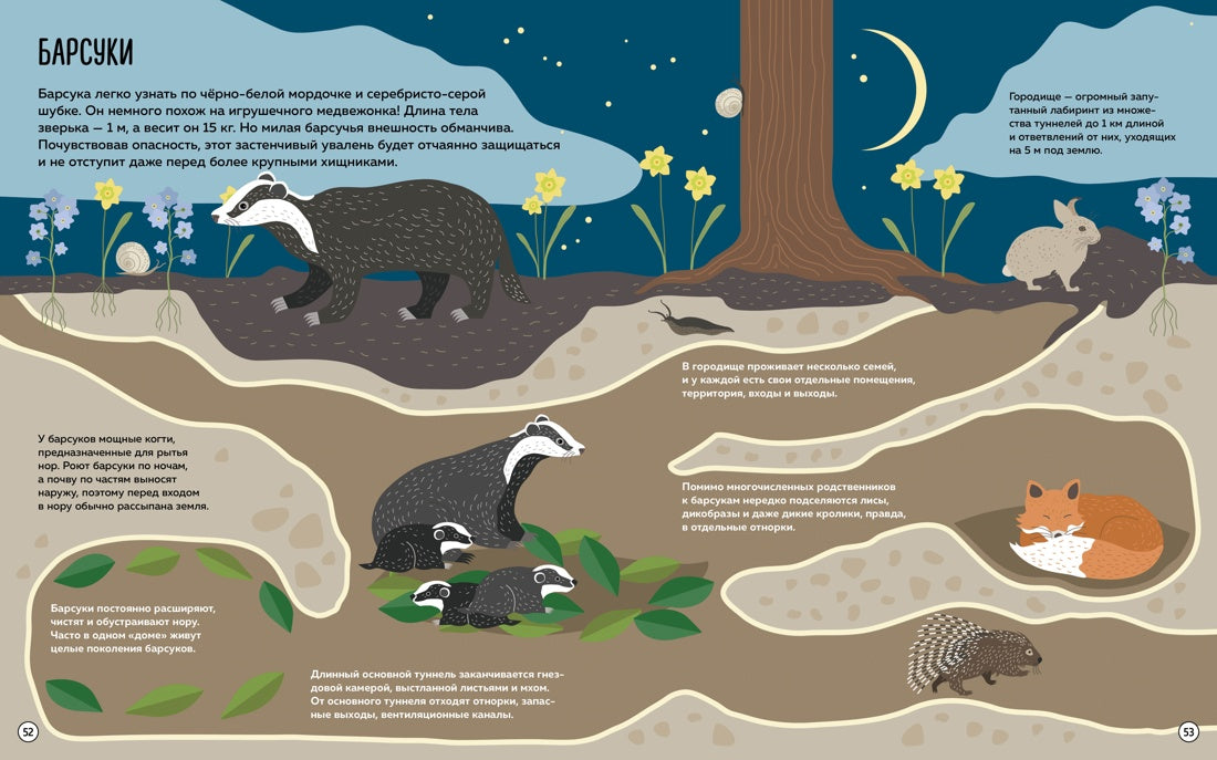 Что внутри? Как устроены дома животных. Энциклопедия