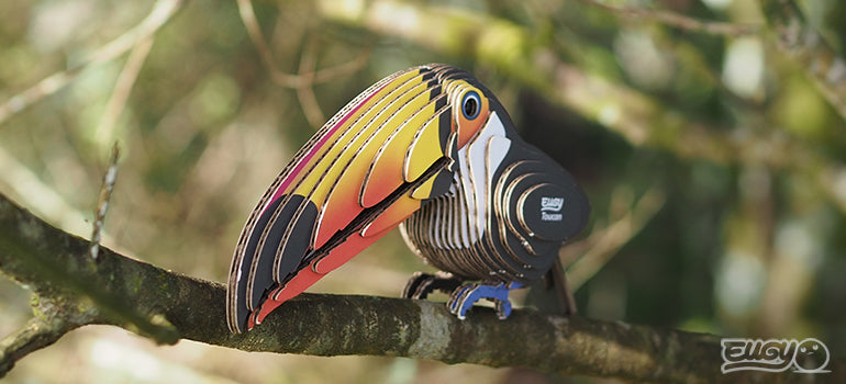 3D puzzle: Toucan, EUGY