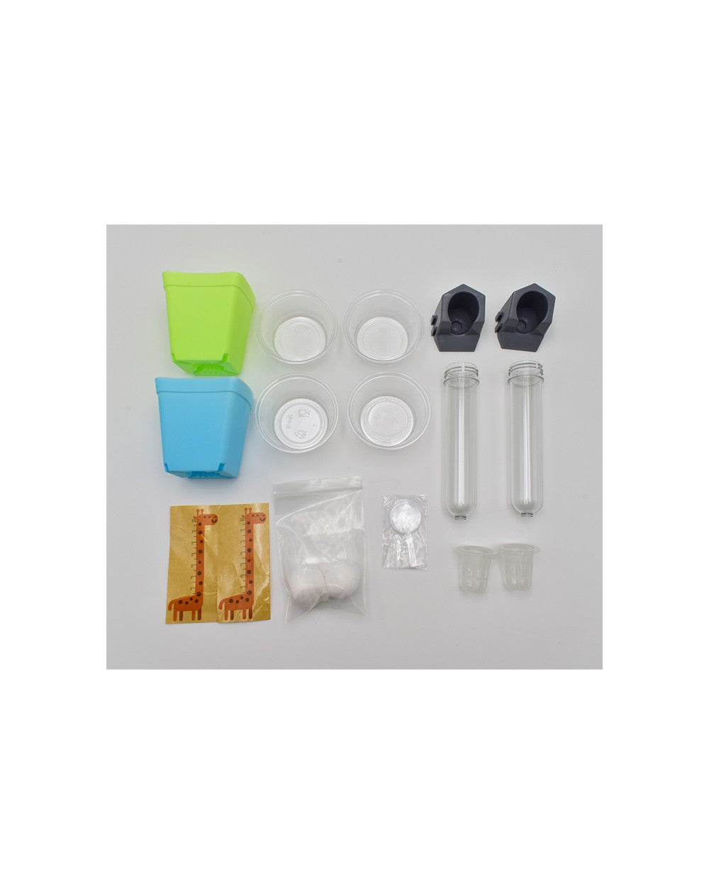 Explore Growth of Plants, Andreu Toys