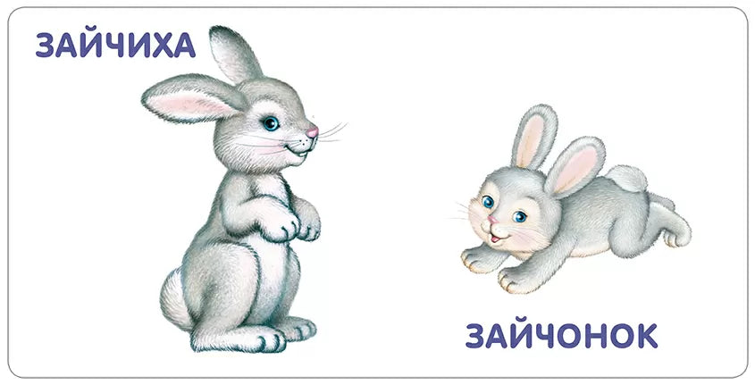 Книжки - картонки. Животные и детёныши. Робинс