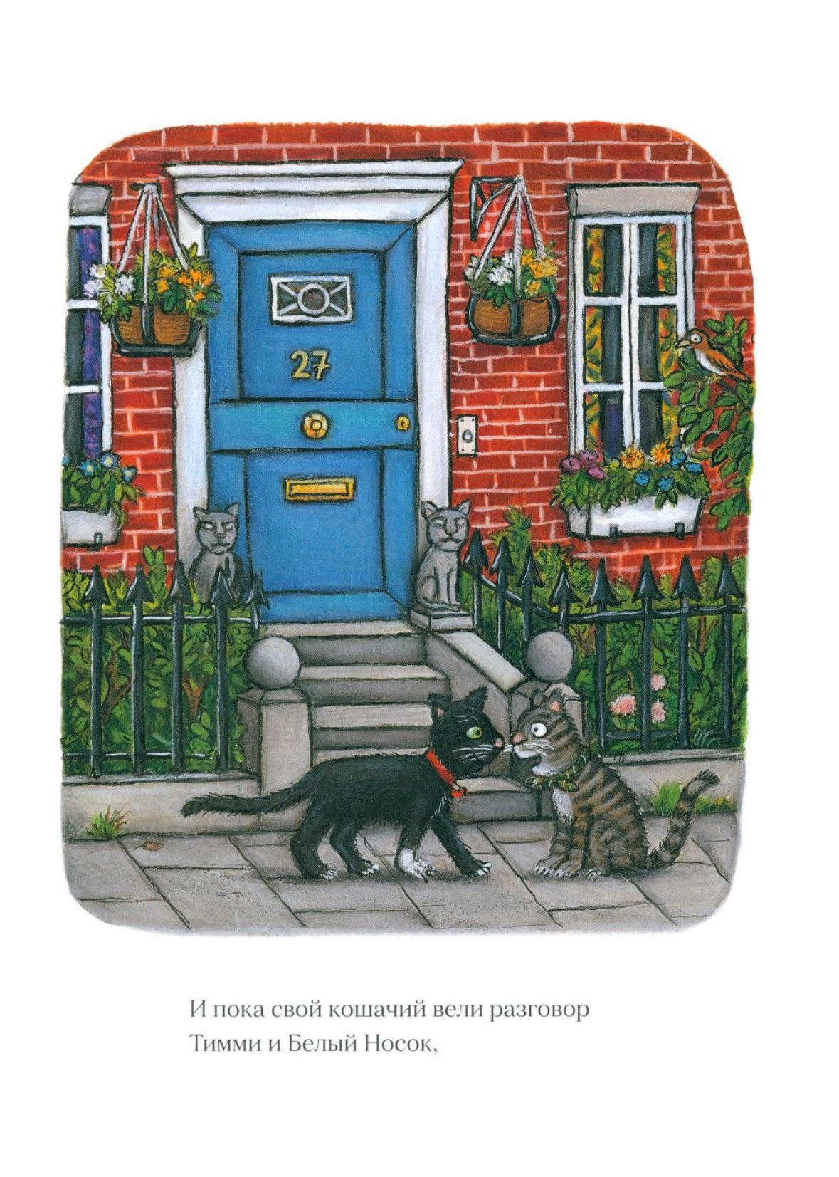 Тимоти Скотт Дональдсон