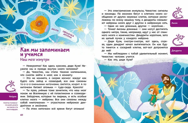 Как устроен мозг. ЧЕВОСТИК, Детская энциклопедия. Максим Калтыгин.