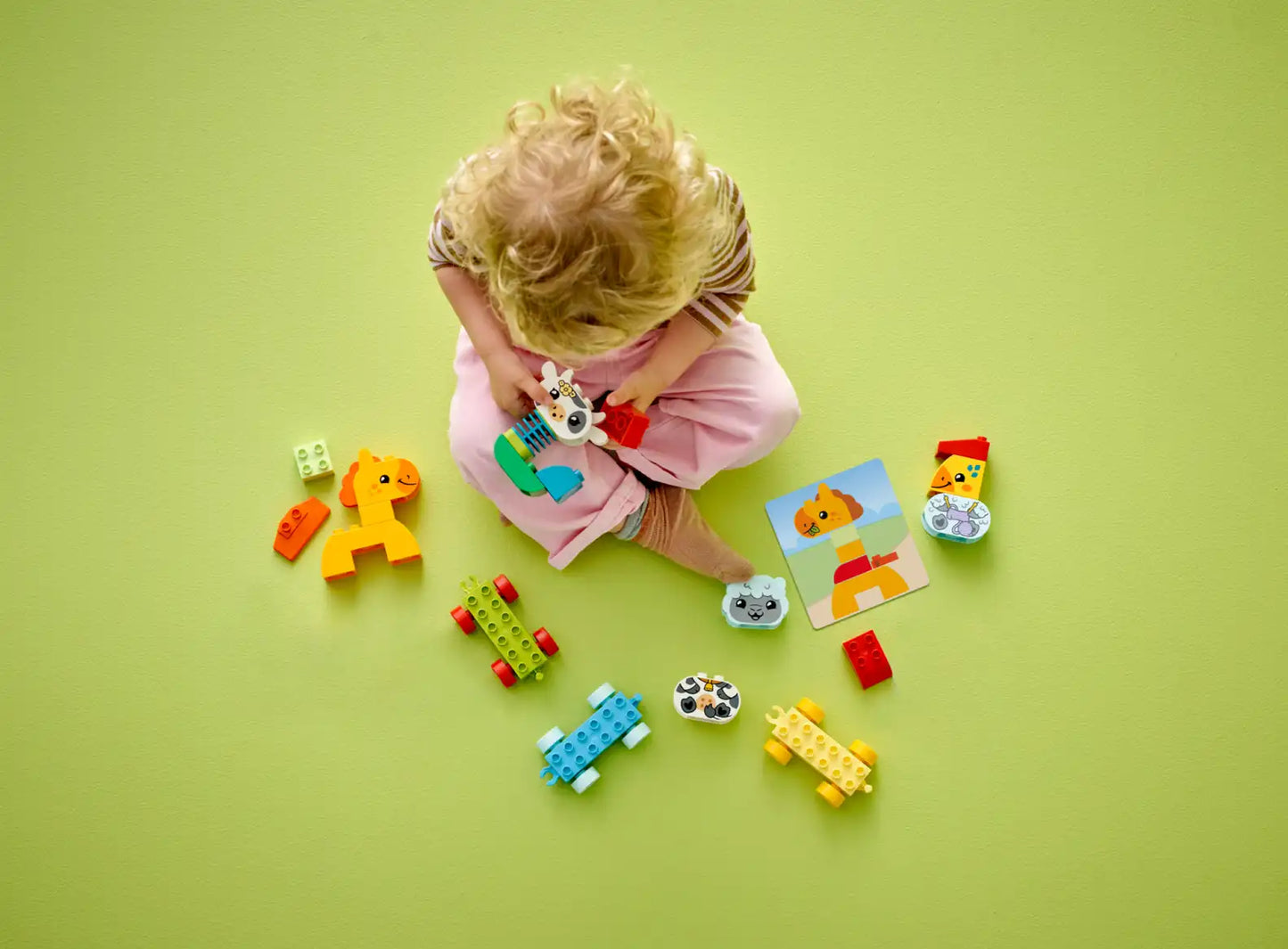 LEGO® DUPLO® My First Animal Train 10412