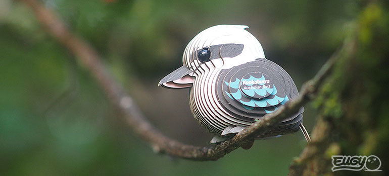 3D puzzle: Kookaburra, EUGY