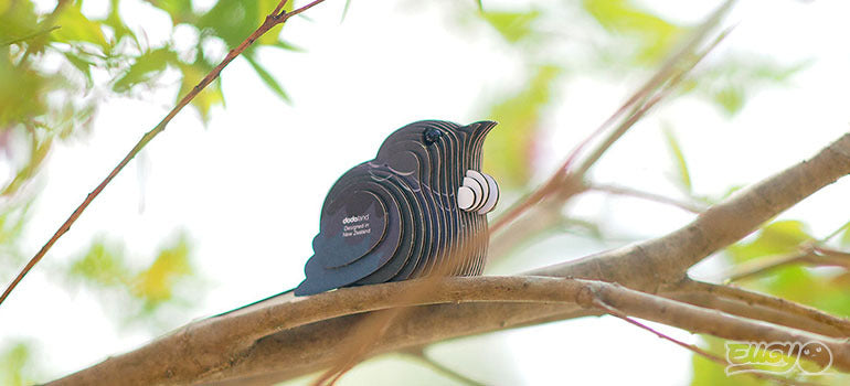 3D puzzle: Tui, EUGY