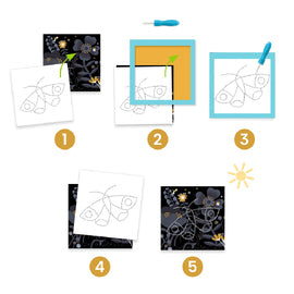 Djeco Image reveal