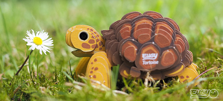 3D puzzle: Tortoise, EUGY