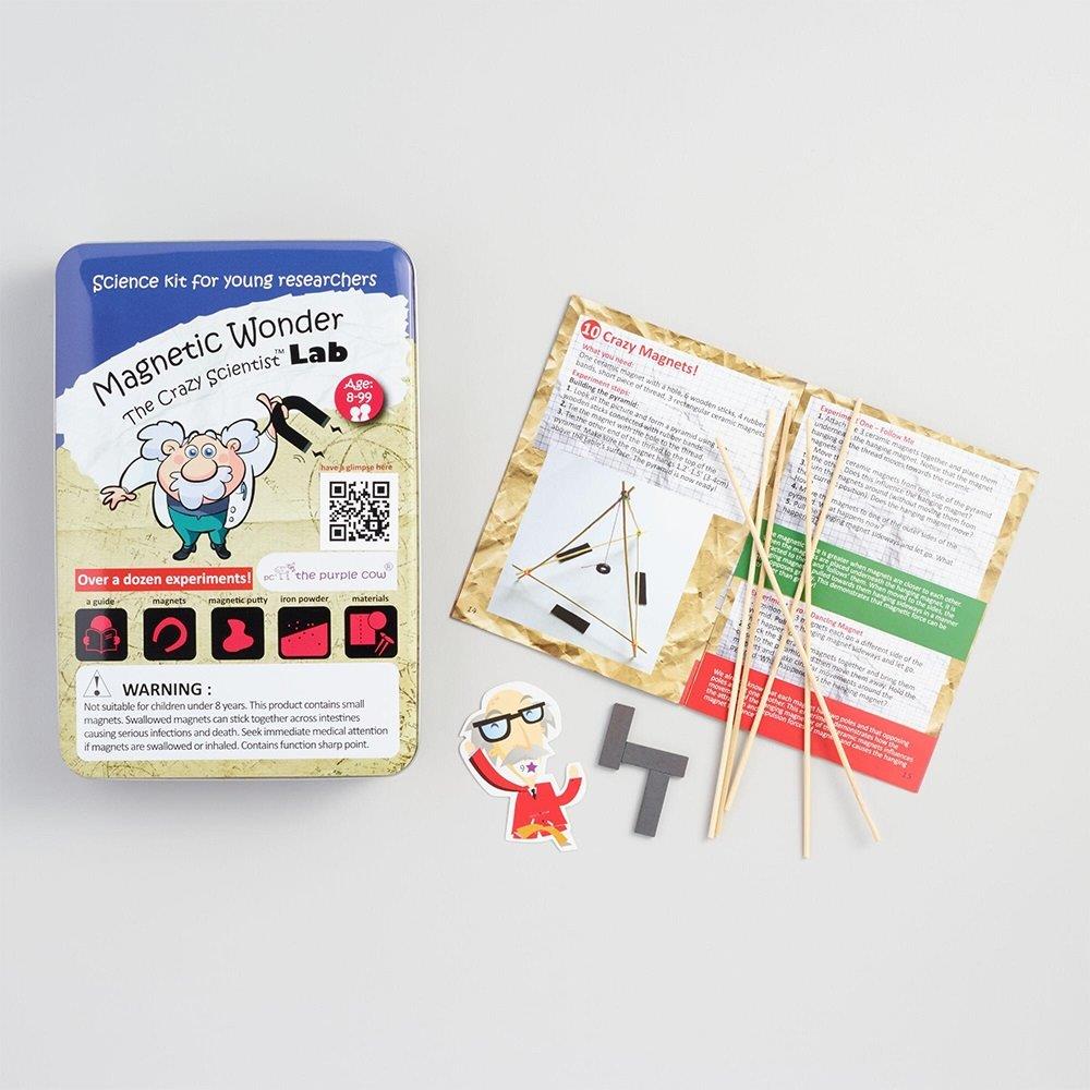 The Crazy Scientist LAB Magnetic Wonder