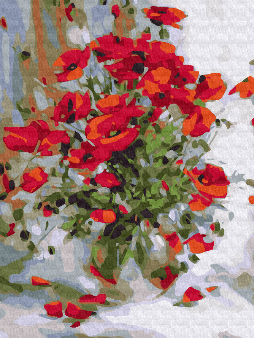 Oil Poppies Paint By Numbers, Brushme