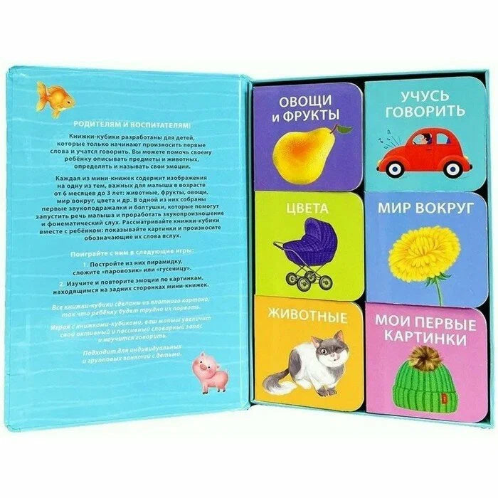 Первая книга малыша. 6 книжек-кубиков