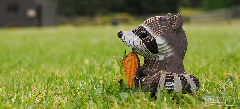 3D puzzle: Raccoon, EUGY