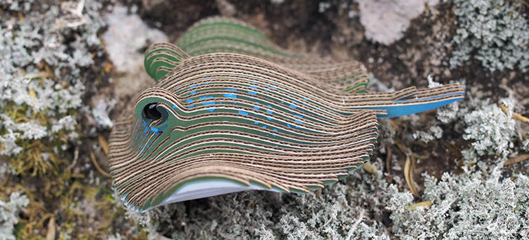 Stingray Eugy
