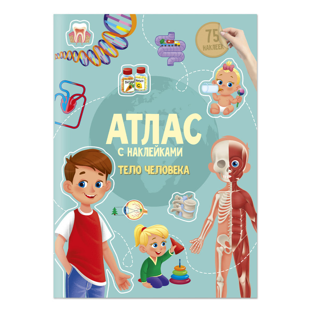 Тело человека. Атлас с наклейками.